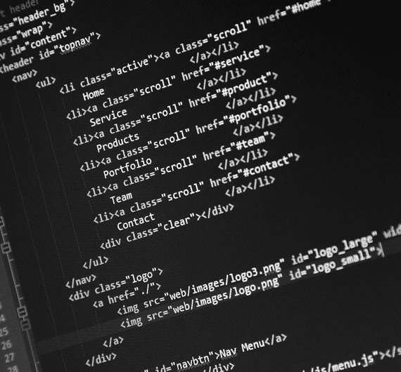 html css java script screen shot code coding programming grayscale black and white